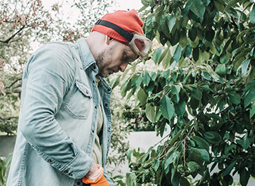 garden maintenance services in dubai