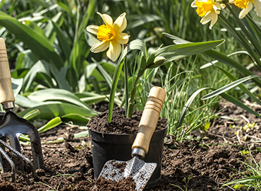 landscaping services in dubai