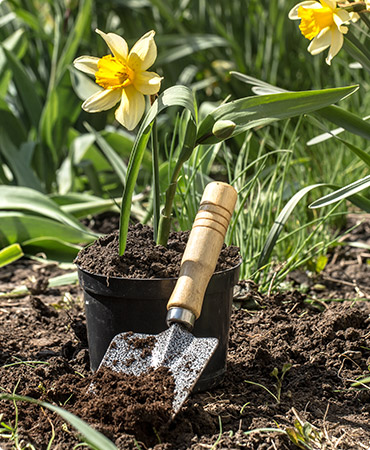 garden maintenance services in dubai