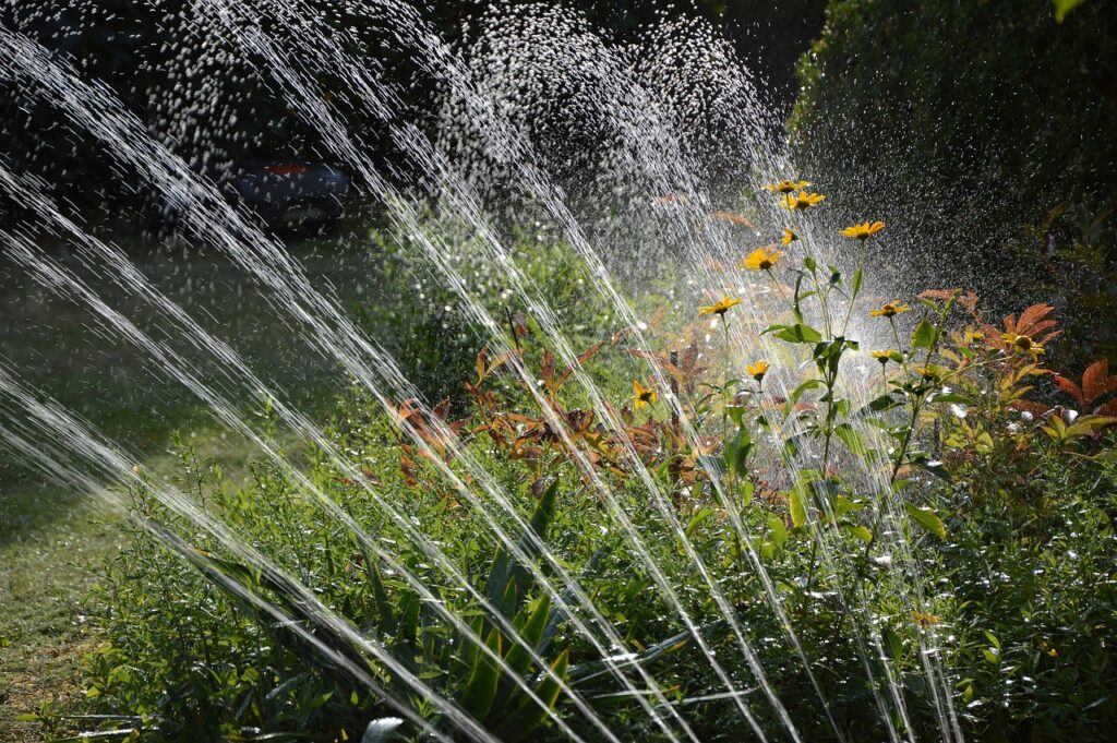 garden, irrigation, water, irrigation system in dubai
