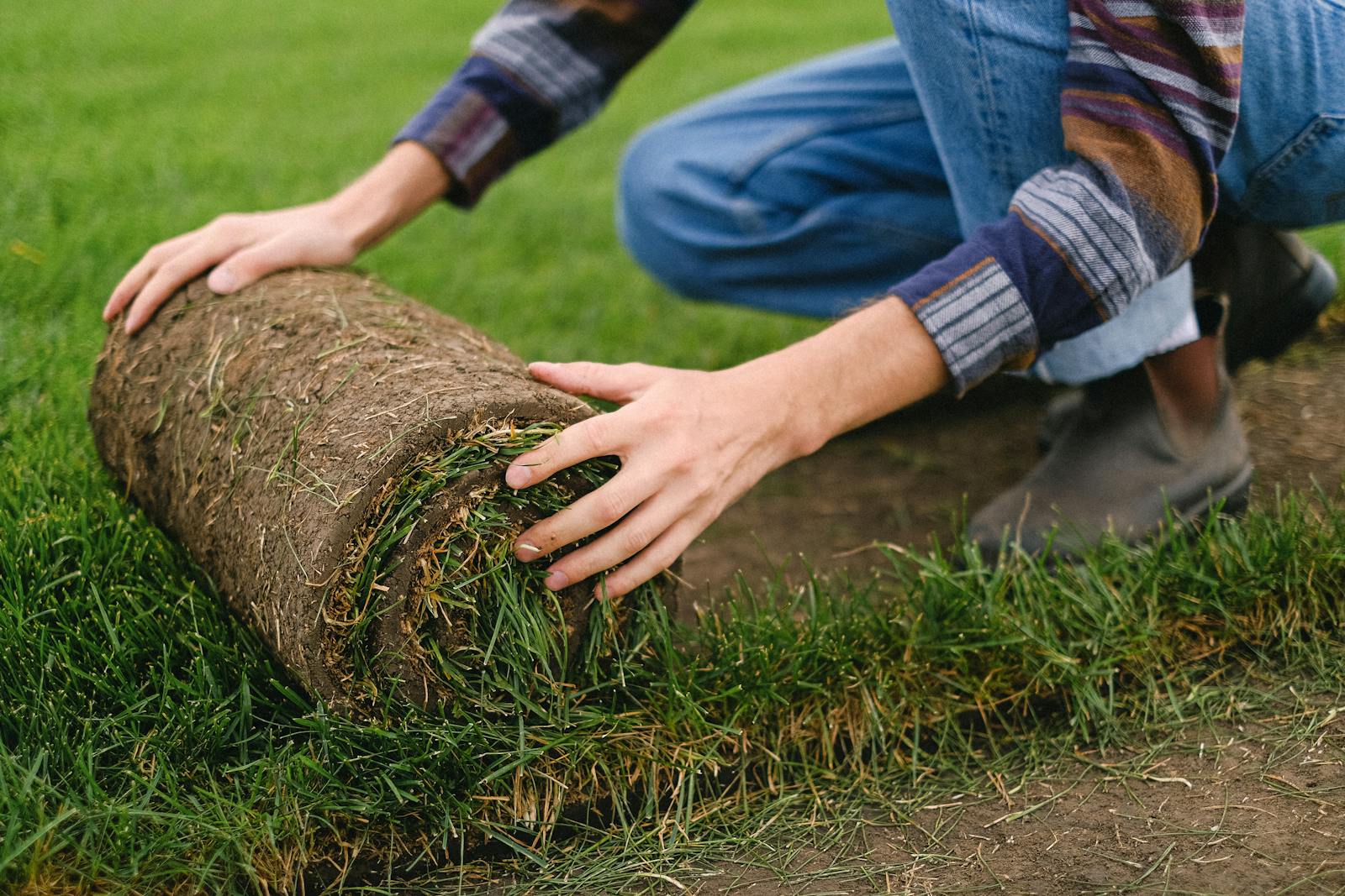 Side view of unrecognizable male farmer laying grass turf roll on ground while working on agricultural plantation on blurred background landscaping maintenance