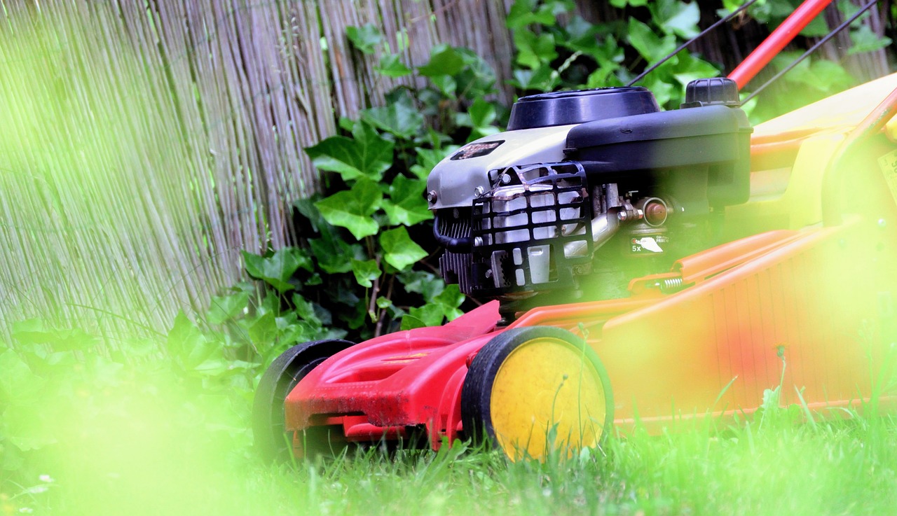 lawn mower, mow, gardening